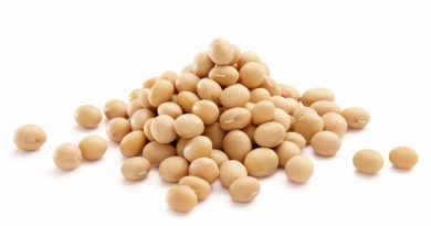 Full Fat Soy Ingredients Full Fat Soy Ingredients